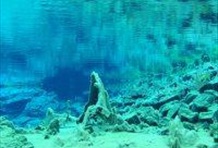 Deep into the Blue - Magnificent Fissure Diving